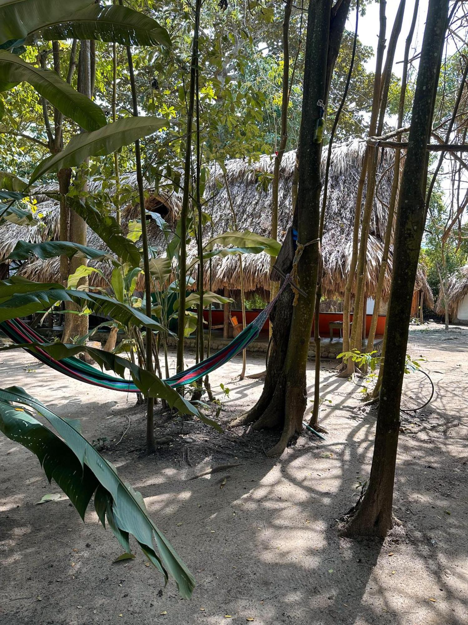 La Aldea Hostel, Camping Y Hamacas بالومينو المظهر الخارجي الصورة